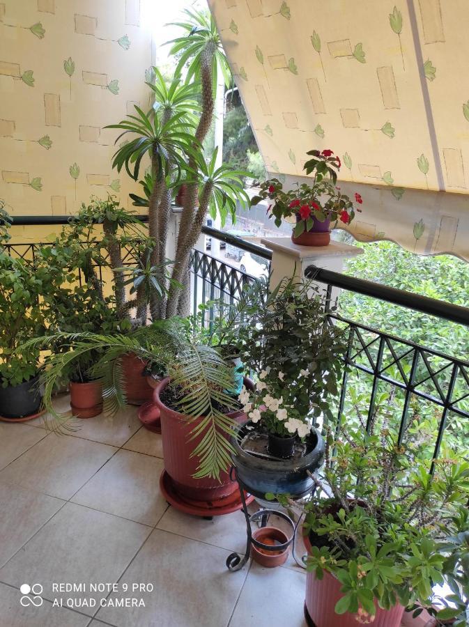 Aktys Elegant Studio, Atene Esterno foto